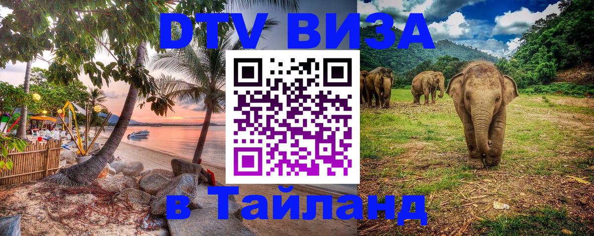 Как сделать DTV визу в Тайланд Брюссель 